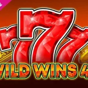 Wild Winst 40